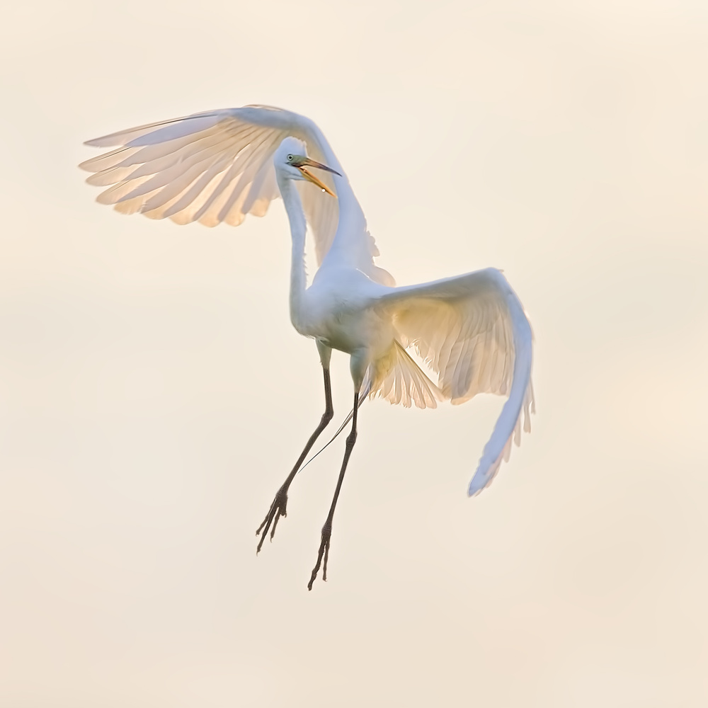 Dancing in The Air von Jun Zuo