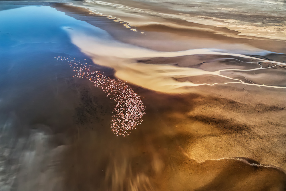 Flying Over von Jun Zuo