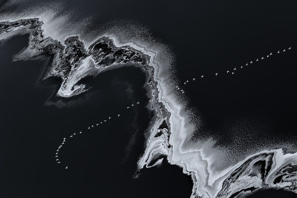 Flying Over von Jun Zuo