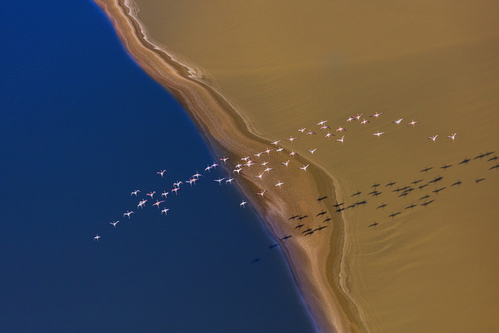 Flying Over von Jun Zuo