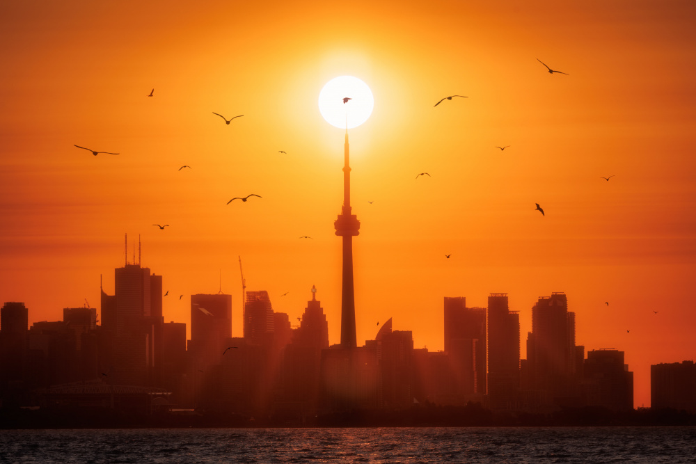 Sun Rising Behind Toronto von Junbo Liang