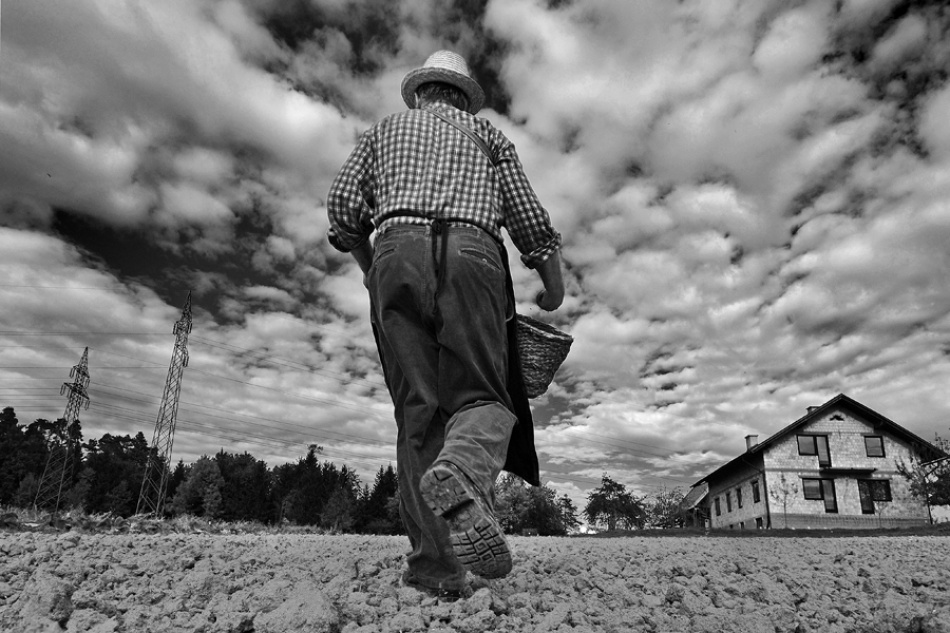 On One' s Own Land von Jure Kravanja