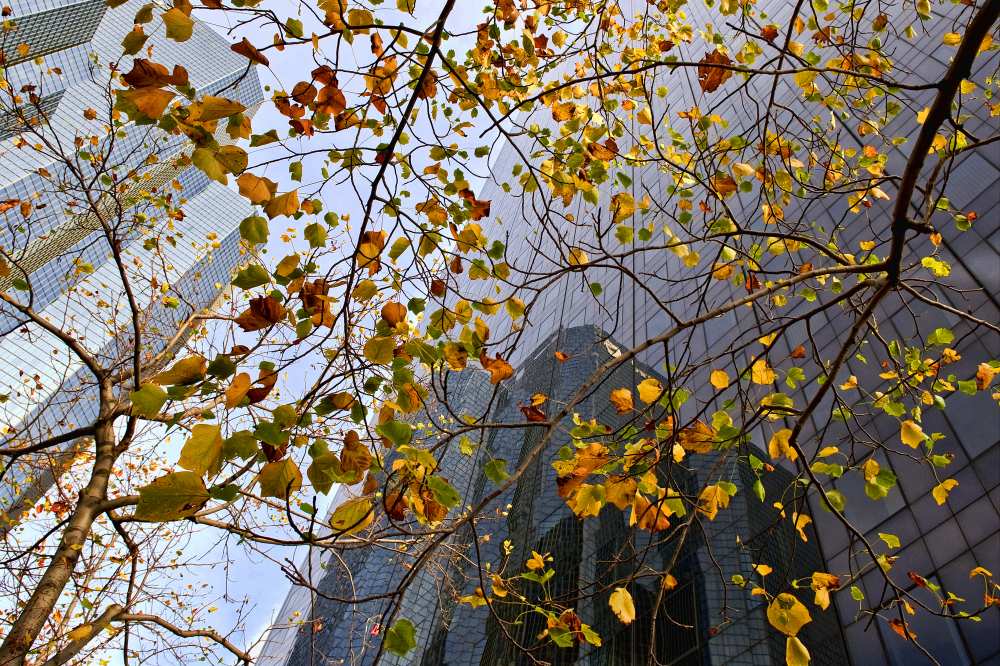 Autumn von Jure Kravanja