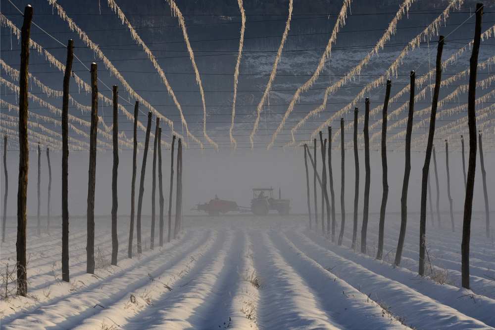 Binoculars von Jure Kravanja