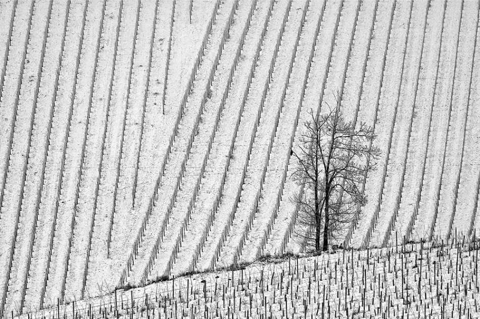 January the second von Jure Kravanja