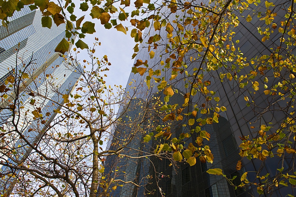 Autumn von Jure Kravanja