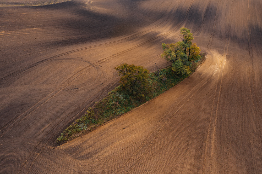 Moravia von Jure Kravanja