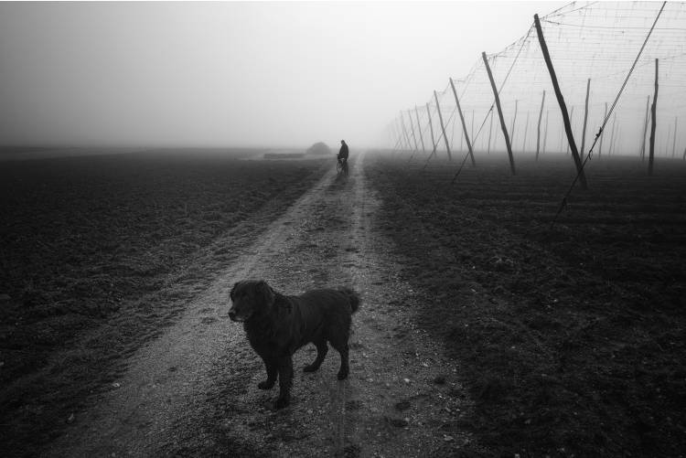 Waiting for a Friend von Jure Kravanja