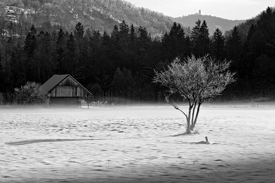 Winter von Jure Kravanja