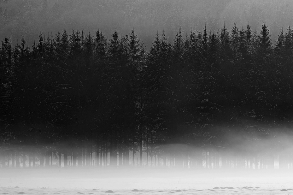 Winter von Jure Kravanja