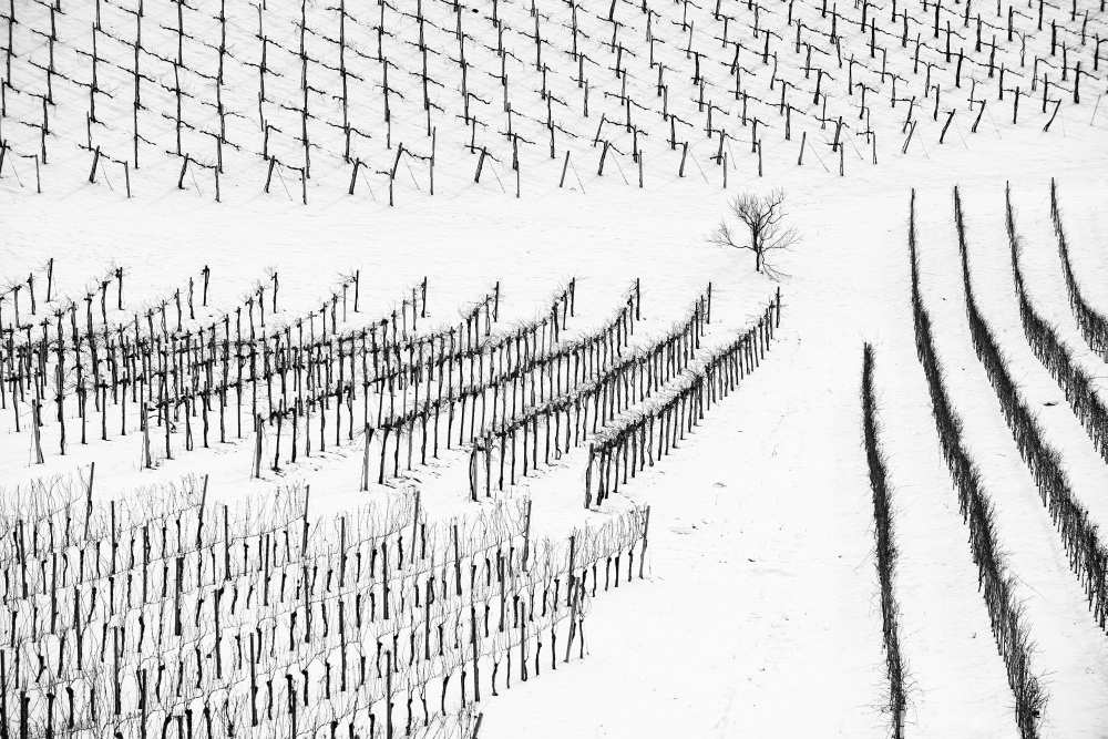 Winter Lines von Jure Kravanja