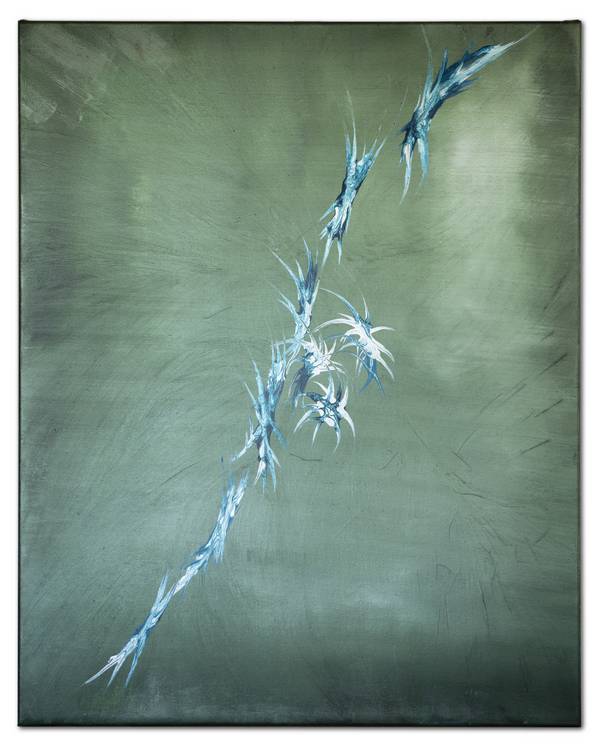 Hiddensee beauty  von Felix Justen