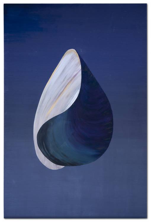 Seashell von Felix Justen