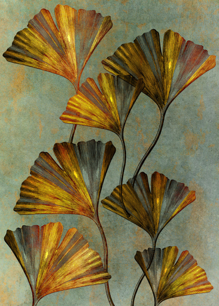 Ginko biloba 2 von Justyna Jaszke