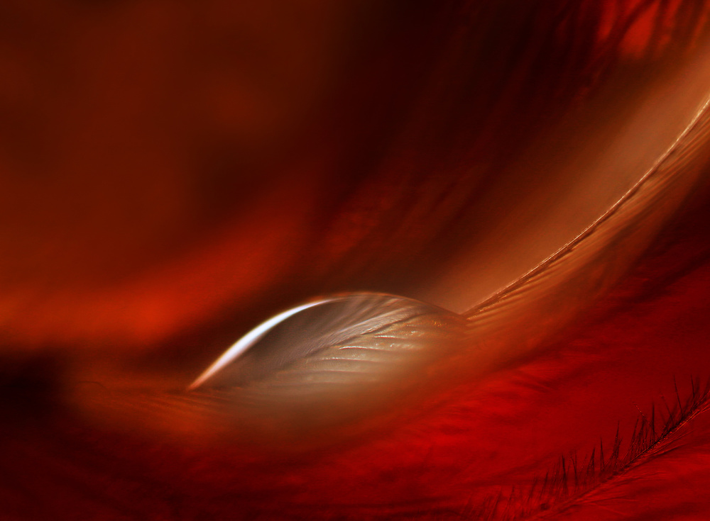 drop von Jutta Kerber