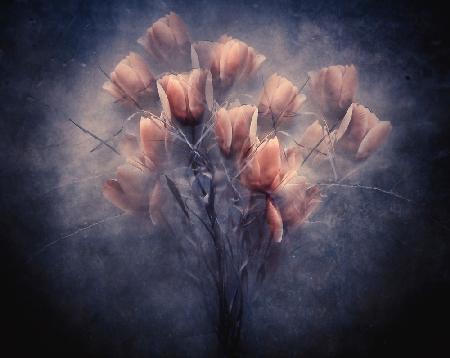 Im holding on forever