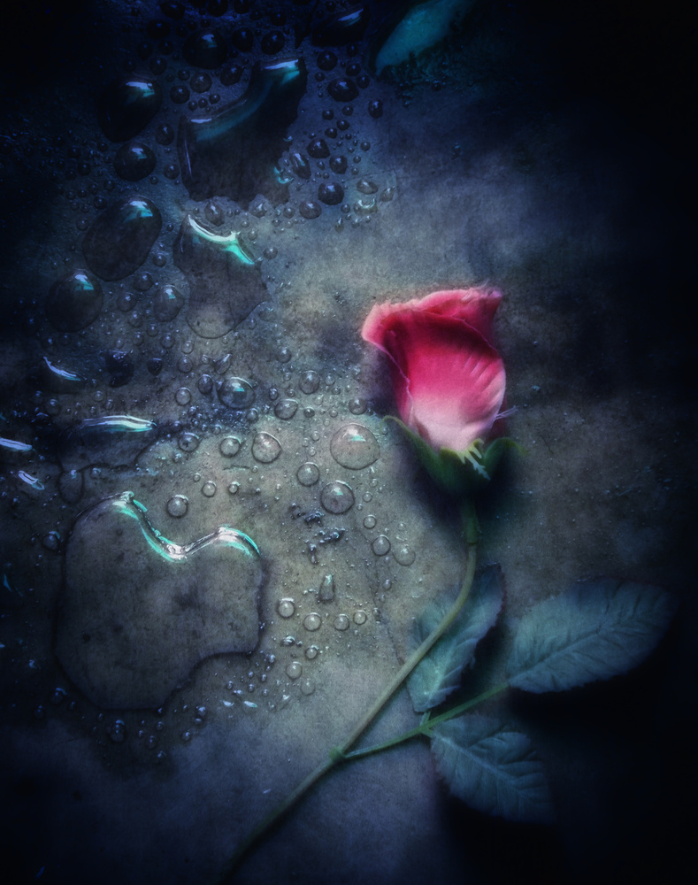 strength and energy von kahar lagaa