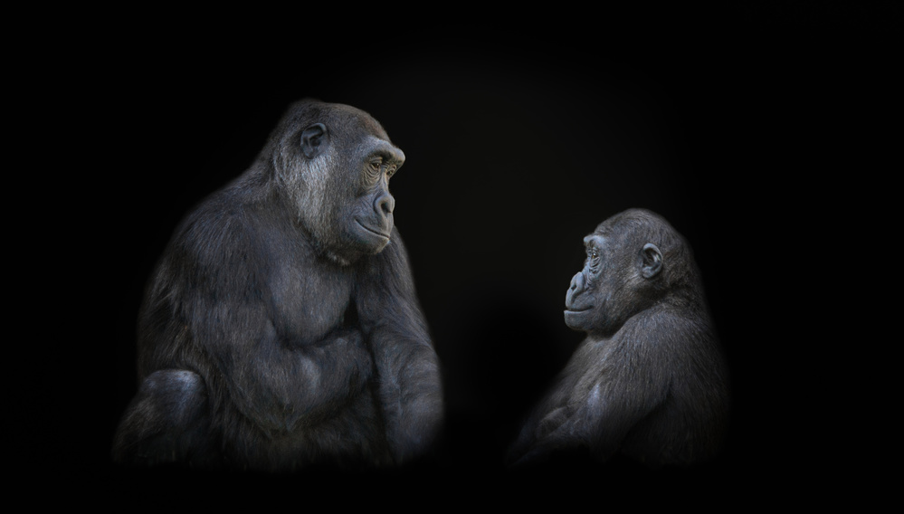 friends #2 von KaMerA