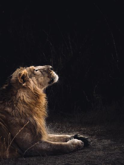 In Conversation With the Higher Power!