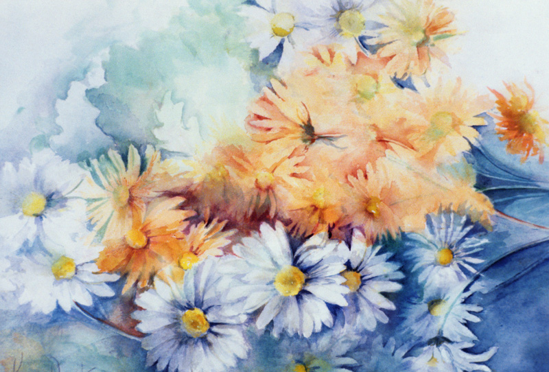 Chrysanthemum, white and apricot  von Karen  Armitage