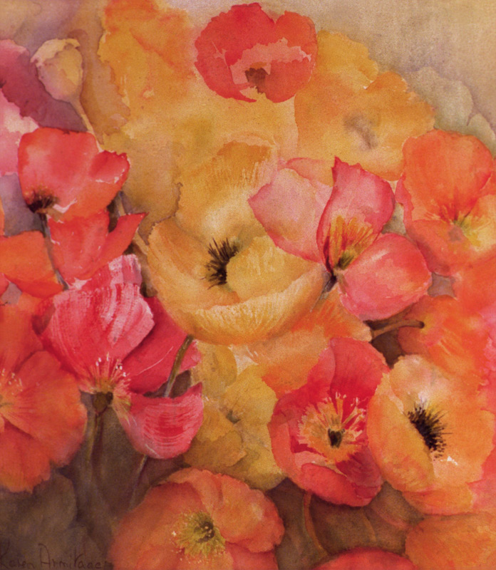 Icelandic Poppies Nudicaule  von Karen  Armitage