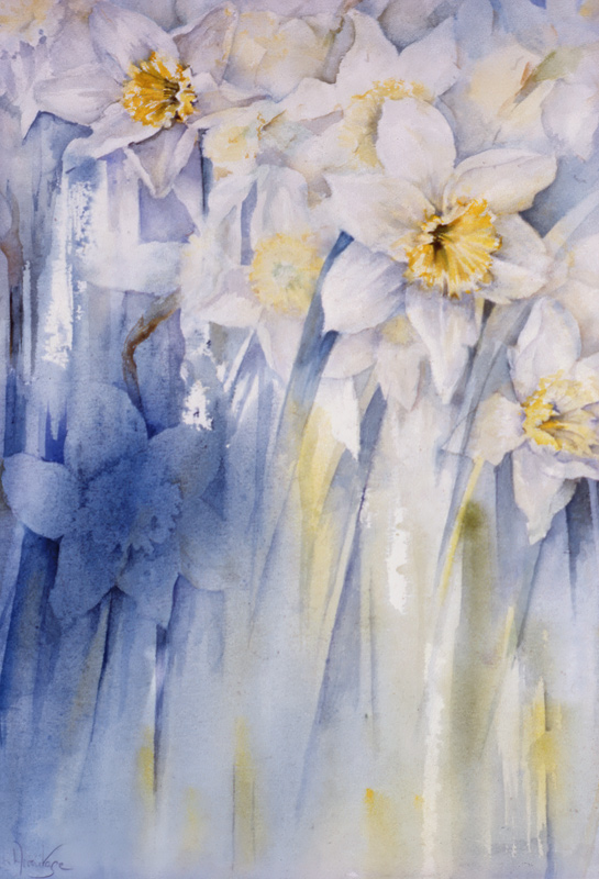 Daffodils  von Karen  Armitage