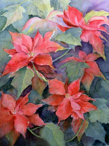Poinsettia  von Karen  Armitage