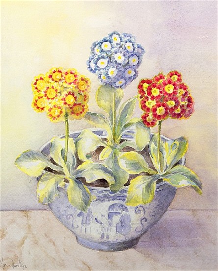 Auricula in a Chinese Pot  von Karen  Armitage