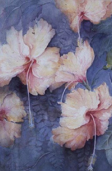 Hibiscus, apricot  von Karen  Armitage