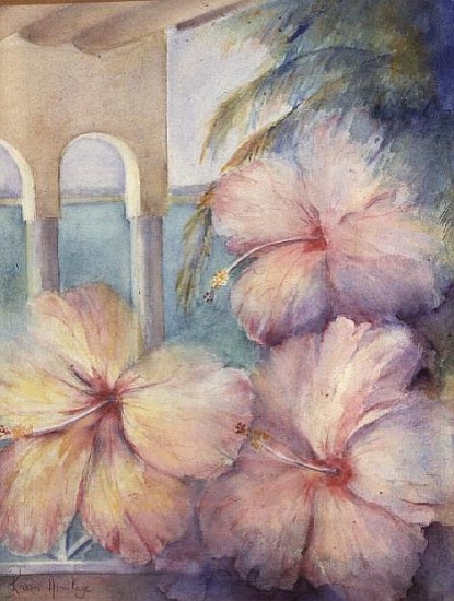 Hibiscus Pimms  von Karen  Armitage
