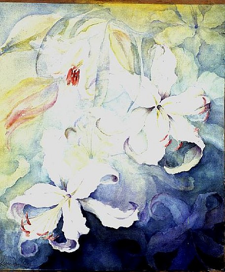 Lilium, White Champion and Heart''s Desire  von Karen  Armitage