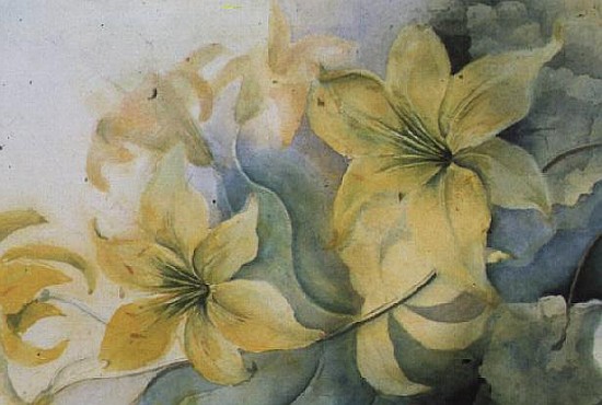 Lily, Hermerocalis Connecticut King  von Karen  Armitage