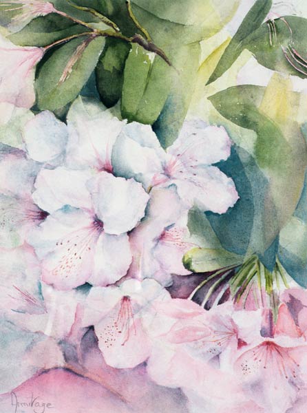 Morning Magic  von Karen  Armitage