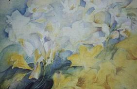 Freesia, Buttercup and Fantasy (horizontal) 