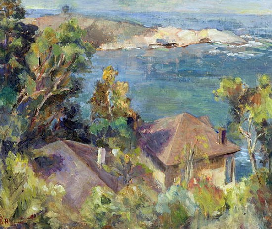 Zapellar, Chile, 1996  von Karen  Armitage