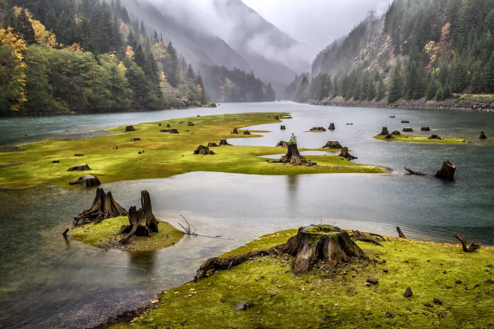 River Carpet  1288 von Karen Celella