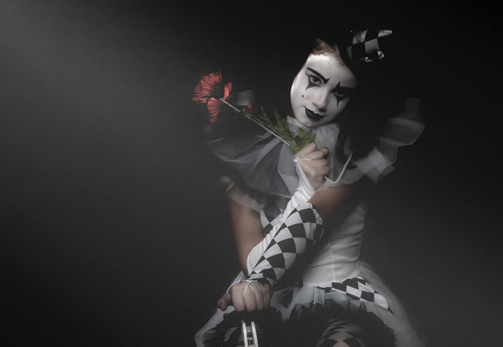 Send in the Clowns , Dont bother theyre Here :o) von Karen Smalley