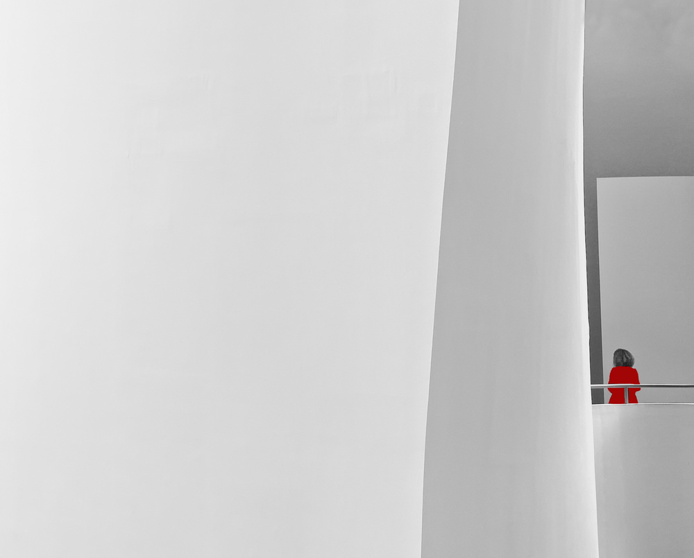 The visitor von Karen Van Eyken