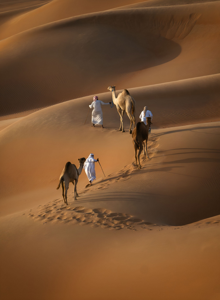 Liwa desert von Karim Al Thahaby