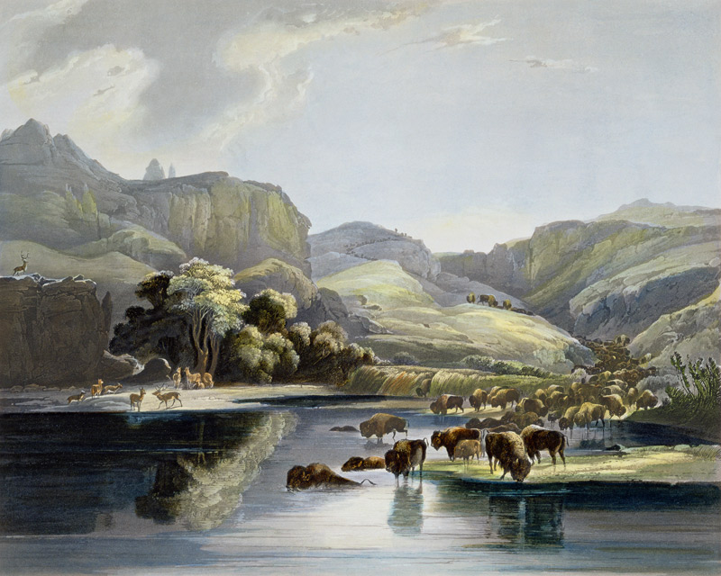 Herds of Bison and Elk on the Upper Missouri, plate 47 from Volume 2 of 'Travels in the Interior of von Karl Bodmer