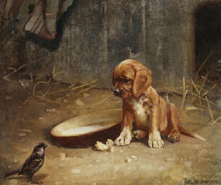 Ein ungeladener Gast.