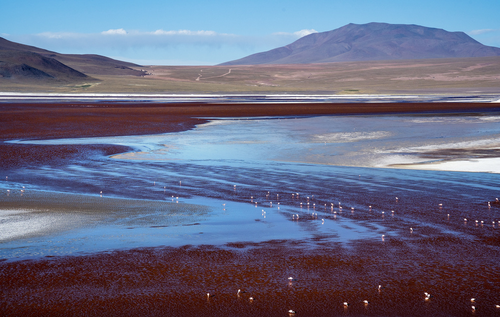 A splash of blue von Karsten Wrobel