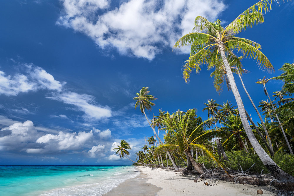 Desert Island von Karsten Wrobel