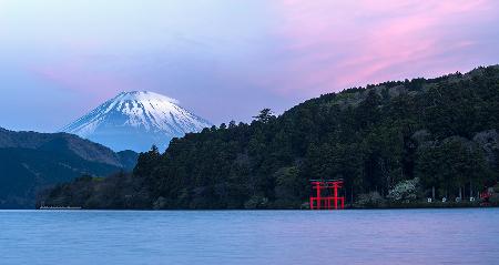 Pink Fuji