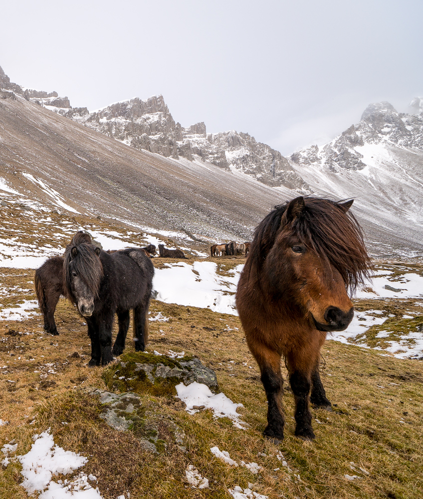 Resilience von Karsten Wrobel