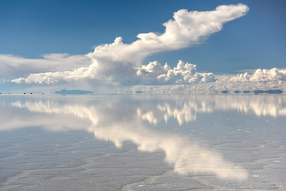 desert rorschach von Karsten Wrobel