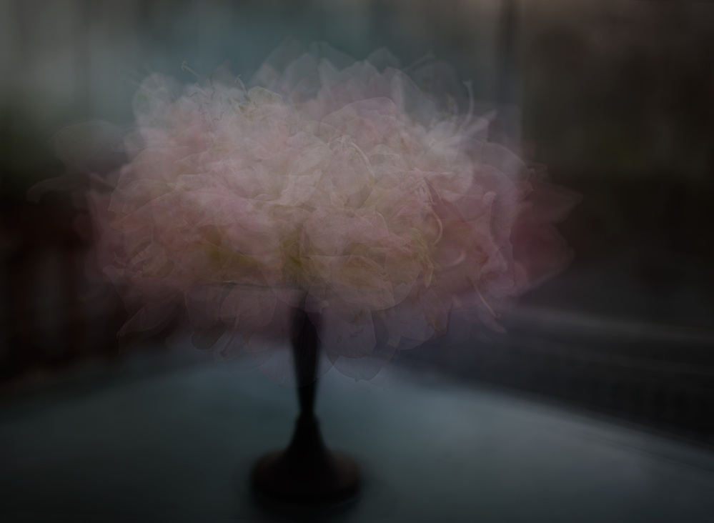 Flower cake von Katarina Holmström