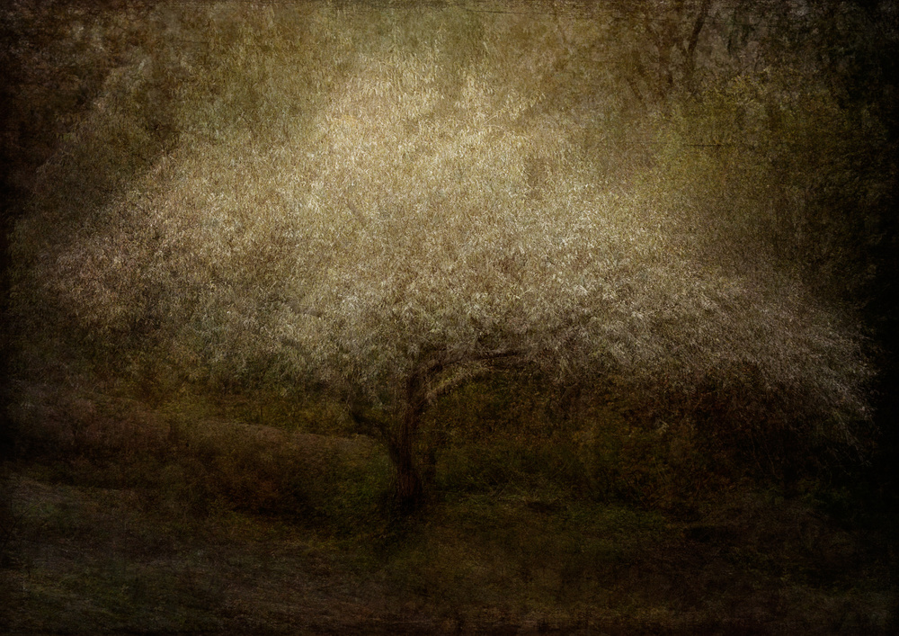 Every cloud has a silver lining von Katarina Holmström