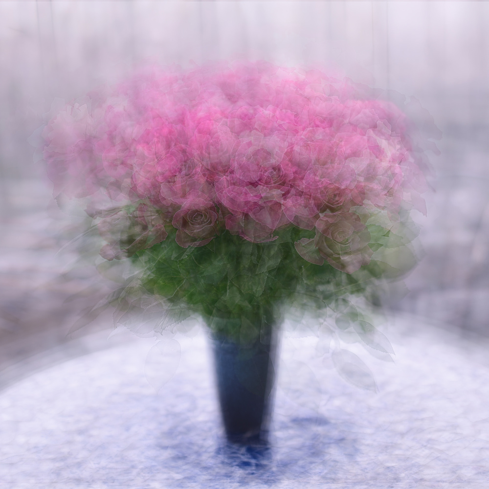 Roses von Katarina Holmström