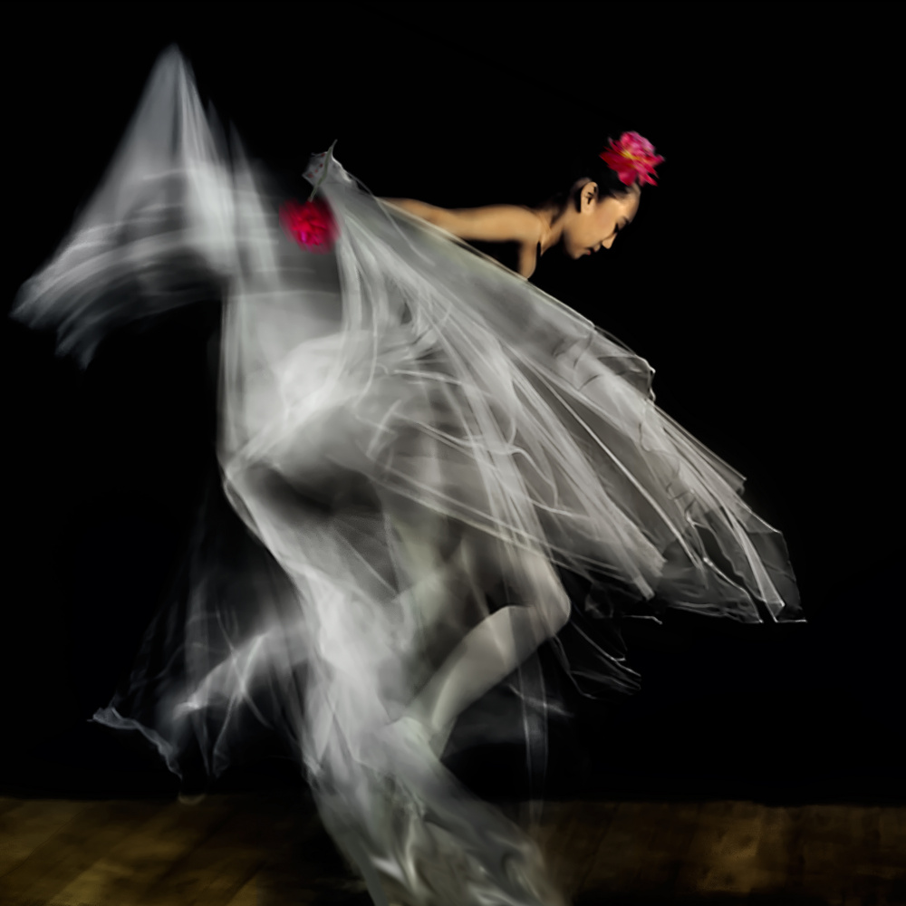 Red Peony von Katarina Holmström